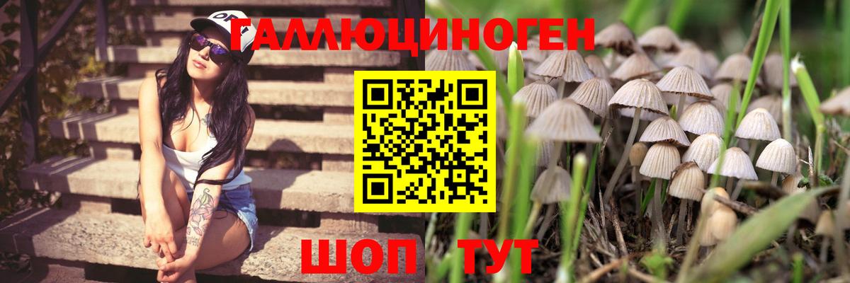 Псилоцибиновые грибы мухоморы Тимашёвск