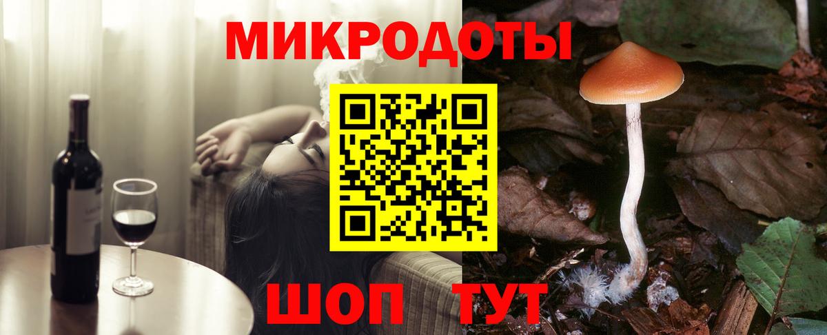 Тимашёвск  Псилоцибиновые грибы Psilocybe  Вход с VPN  Псилоцибиновые грибы Magic Shrooms 
